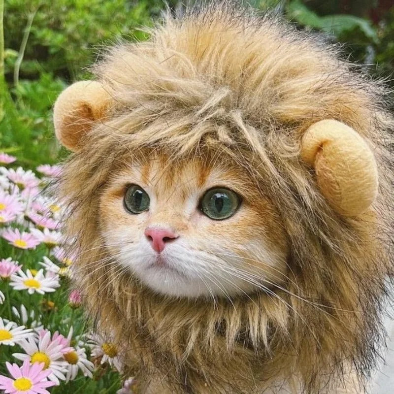 Cat Lion Wig