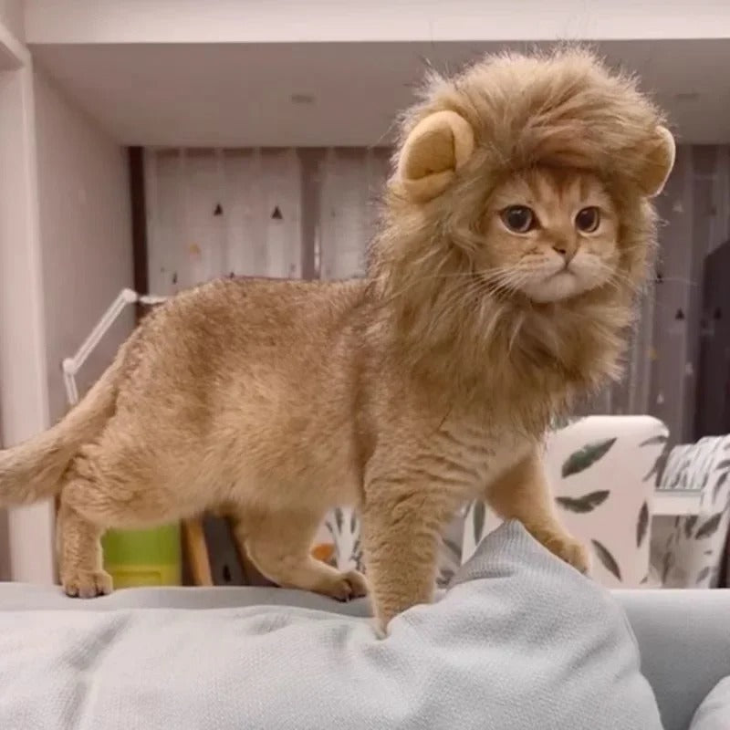 Cat Lion Wig